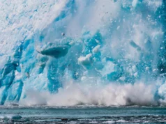 A Antártida acaba de experimentar o colapso glacial mais rápido de todos os tempos