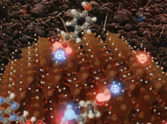 Por que este mineral semelhante à ferrugem é um dos melhores reservatórios de carbono da Terra