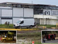 Criminosos condenados foram libertados no México depois que bandidos invadiram o portão de uma prisão durante um motim por causa de um assassinato de cartel.