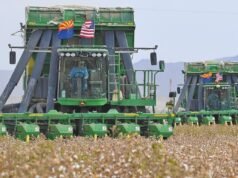 EPA reaprova o herbicida dicamba com algumas restrições