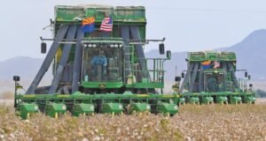 EPA reaprova o herbicida dicamba com algumas restrições