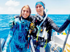 A maior colônia de corais do mundo encontrada na Austrália por cientistas cidadãos