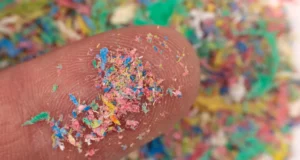 Os microplásticos podem estar danificando silenciosamente o seu cérebro e exacerbando as doenças de Alzheimer e Parkinson