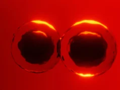 Livros didáticos desafiados por novas descobertas sobre como as células se dividem