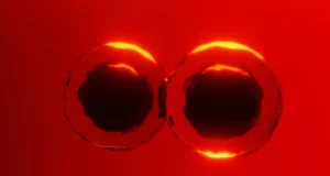 Livros didáticos desafiados por novas descobertas sobre como as células se dividem