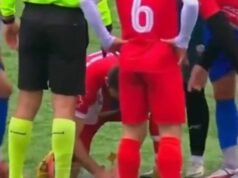 “Herói animal”: O jogador de futebol que realizou RCP em uma gaivota testemunhou