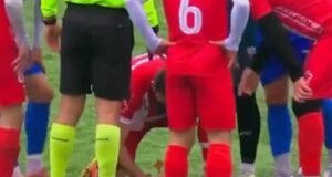 “Herói animal”: O jogador de futebol que realizou RCP em uma gaivota testemunhou