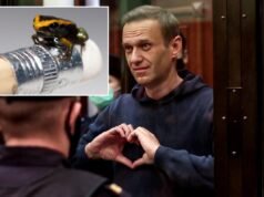 Viúva diz que o líder da oposição russa Alexei Navalny foi envenenado com toxina altamente letal de sapo-dardo