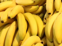 Metal tóxico encontrado em bananas após desastre em mina brasileira