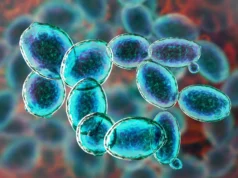Este minúsculo organismo se recusa a morrer em condições semelhantes às de Marte