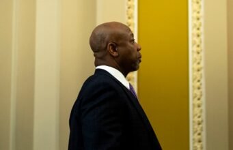 Tim Scott sobre a investigação criminal de Powell: ‘Não acho que ele tenha cometido um crime’