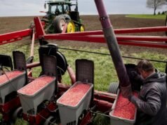 As sementes misteriosas da China são um ataque contínuo ao abastecimento de alimentos da América