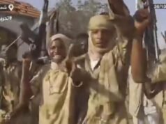 Cidade de Darfur capturada por rebeldes sudaneses apresenta ‘genocídio conhecido’, dizem autoridades da ONU | Notícias do mundo