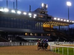 Hoje na Sky Sports Racing: Plumpton e Wolverhampton | Notícias de corrida