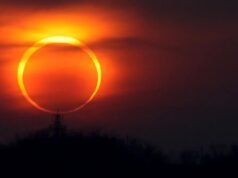 O primeiro eclipse solar do ano agraciará a Antártica e dará aos pinguins e pesquisadores um ‘show maravilhoso’