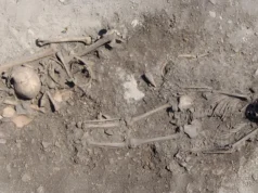 DNA antigo resolve mistério funerário sueco de 5.500 anos