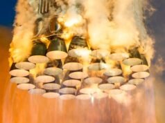 Elon Musk confirma janela alvo para o próximo lançamento da Starship