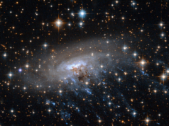 O Telescópio Espacial James Webb descobre impressionantes ‘águas-vivas cósmicas’, resolvendo o mistério da evolução galáctica (fotos)