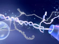 Durante décadas, os cientistas erraram sobre os nós do DNA