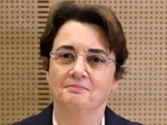 Diretor do Museu do Louvre renuncia por roubo de gema de vidro em Paris: NPR