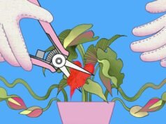 Eu fiz um aborto por causa de uma carreira de comédia. Ainda estou esperando pela profissão