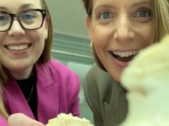 Comemos cogumelos espaciais e sobrevivemos para contar a história