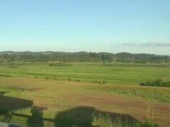 Os defensores dizem que os planos para uma instalação de armazenamento de baterias no condado de Washington podem prejudicar a vida selvagem