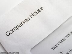 Empresas gananciosas lucram com o caos da Companies House