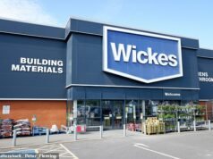 A gigante DIY Wickes empregará 2.000 pessoas ao anunciar planos para abrir 70 novas lojas