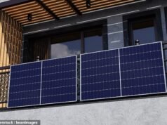 Painéis solares no Lidl? Versões de plug-ins aparecerão nas lojas dentro de MESES