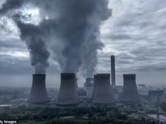 Drax sob ataque por causa de incentivos fiscais de energia verde de £ 8 bilhões para usinas de energia a lenha