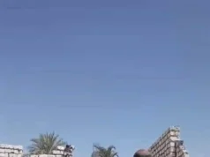 Eliminação de 4 casos de violação de terras agrícolas em Assiut