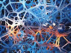 Esta startup construiu o primeiro data center que usa células cerebrais humanas