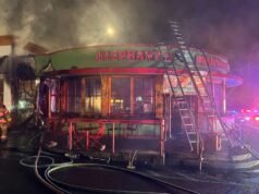 ‘Estou tão triste’: mulher acusada de incêndio em elefante tenta se aquecer