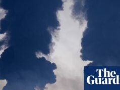 Conselheiro de Starmer insta ministros a considerarem limites de lucro para empresas de energia e petróleo | indústria energética