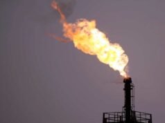 O meio ambiente é mais uma vítima da guerra no Oriente Médio