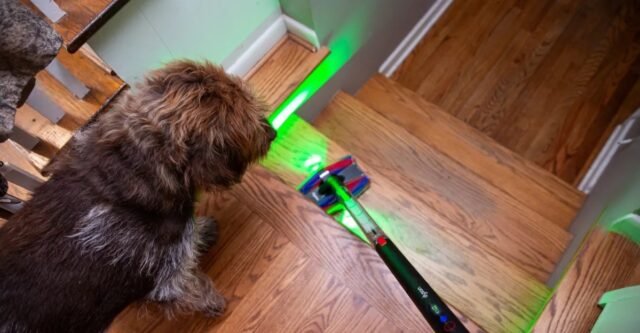 268311_Dyson_PencilVac_FluffyCones_JTuohy_0018.jpeg