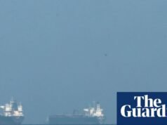 ‘Um enorme fardo para os agricultores’: crise marítima do Golfo ameaça choque nos preços dos alimentos | crise da cadeia de abastecimento