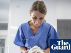 ‘Parece que estão tirando números do céu’: donos de animais de estimação no Reino Unido acolhem repressão às taxas veterinárias | Negócios