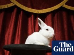 Chato ou fracasso: Reeves pretende projetar competência calma na previsão da primavera | Orçamento 2026