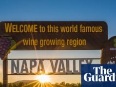 Gostos mudam, vendas diminuem: vinícolas de Napa Valley se adaptam à crise ‘chocante’ | Califórnia
