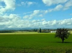 O clima de março chega como um cordeiro