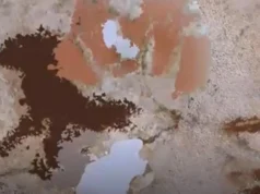 Esta impressão de mão de 67.800 anos é a arte mais antiga já descoberta