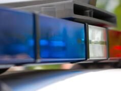 700 cães e gatos resgatados de abrigo superlotado na Califórnia