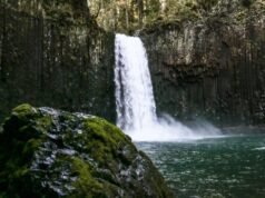 Oregon comprará Abiqua Falls para torná-la pública? O que saber