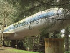 Dois feridos, jovens sob custódia após atirar na casa de um avião em Hillsboro