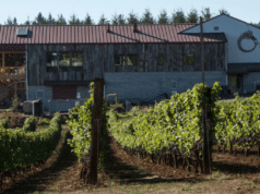 Quarta-feira do vinho: comemore o Dia Internacional do Riesling com vinhos do Oregon