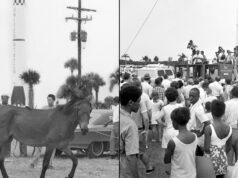 O piloto do Artemis 2 da NASA, Victor Glover, ouve “Whitey on the Moon” todas as segundas-feiras. É por isso.