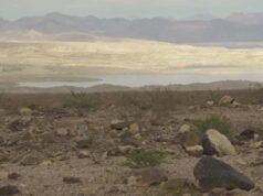 EM VÍDEO | Espera-se 41,6°C: onda de calor recorde atinge oeste dos EUA