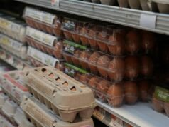 Juiz rejeita processo da administração Trump sobre preços de ovos na Califórnia